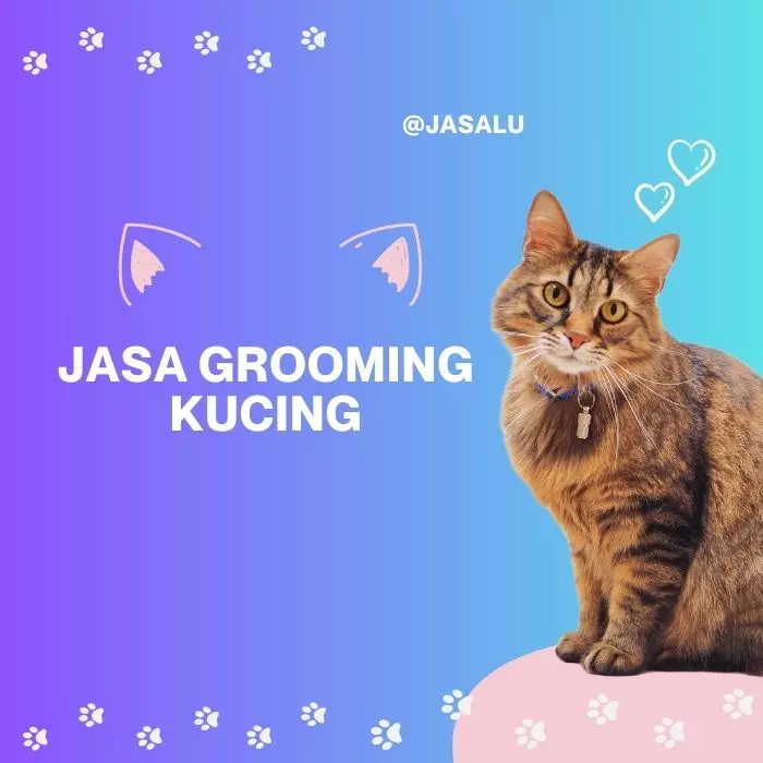 Jasa Grooming Kucing