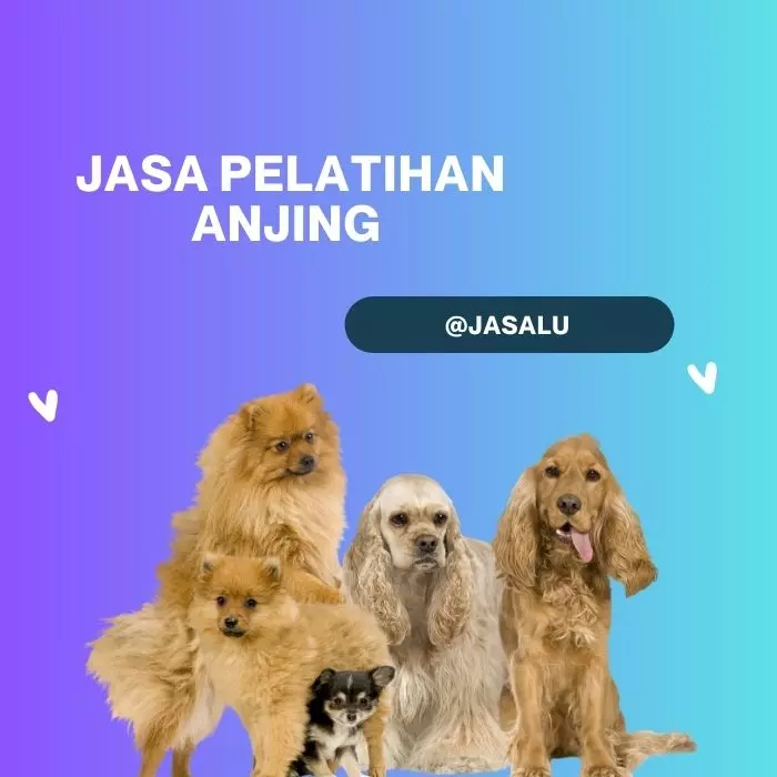 Jasa Pelatihan Anjing