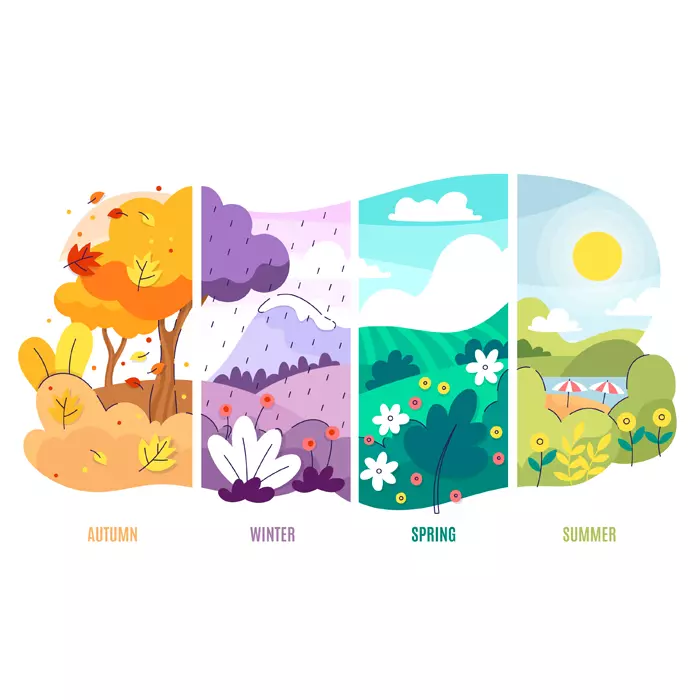 Jasa Pembuatan Gambar Ilustrasi Murah dan Cepat