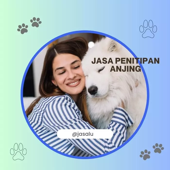 Jasa Penitipan Anjing