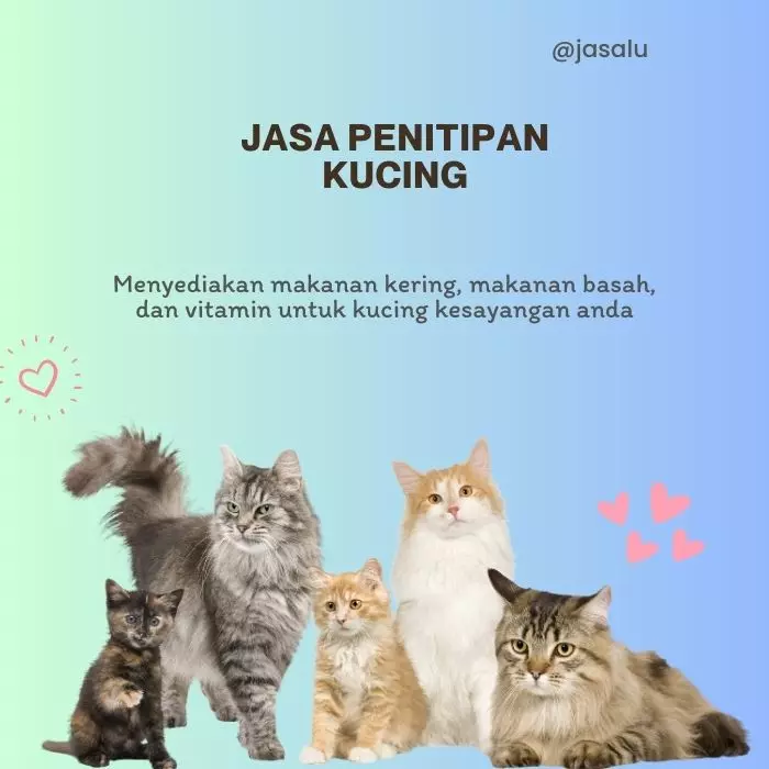 Jasa Penitipan Kucing